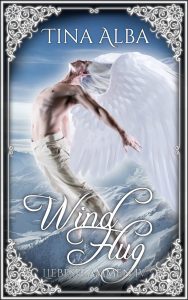 Book Cover: Windflug
